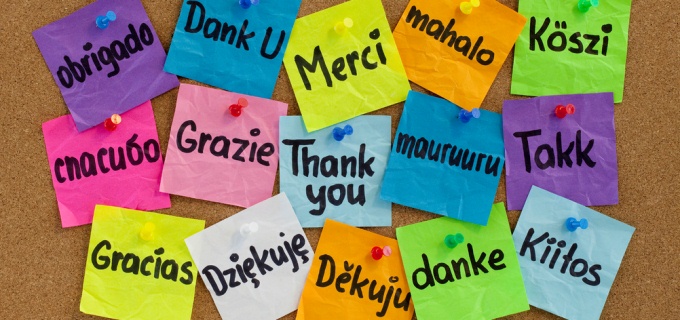 Wolfestone celebrates translation day