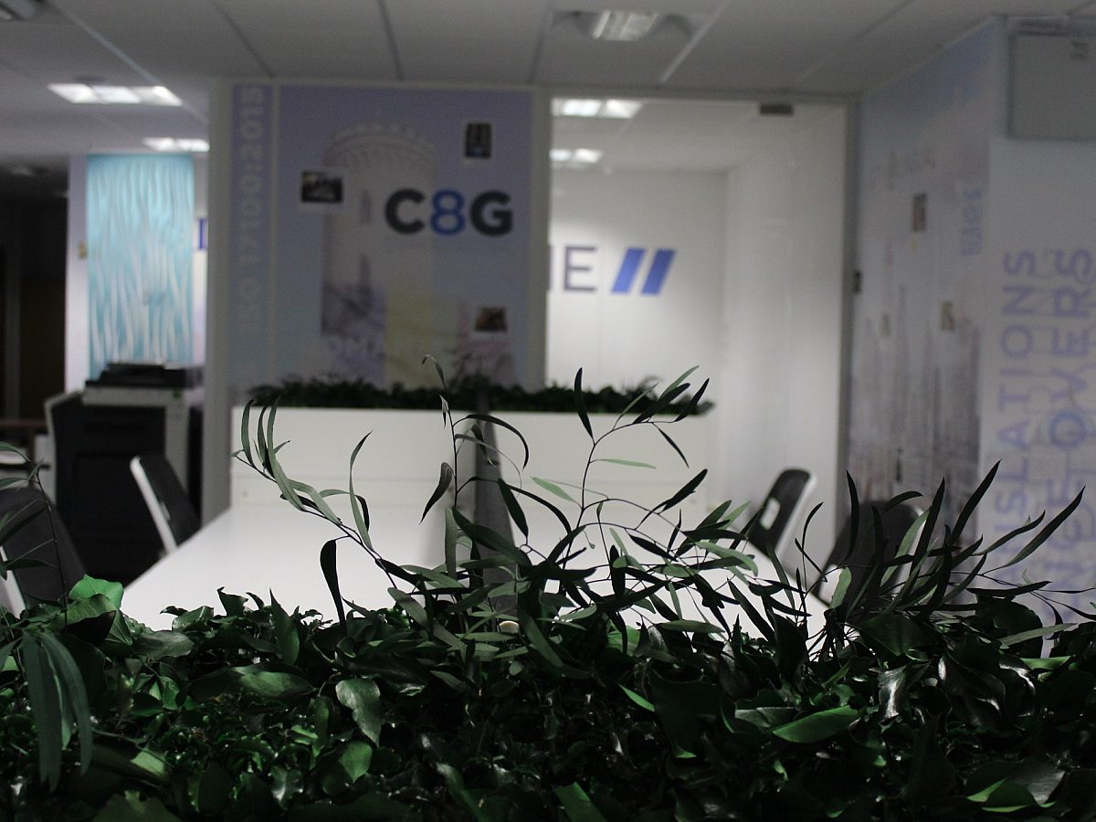 Photograph of Wolfestone's office refurb - plants in foreground, white desks, and black chairs.