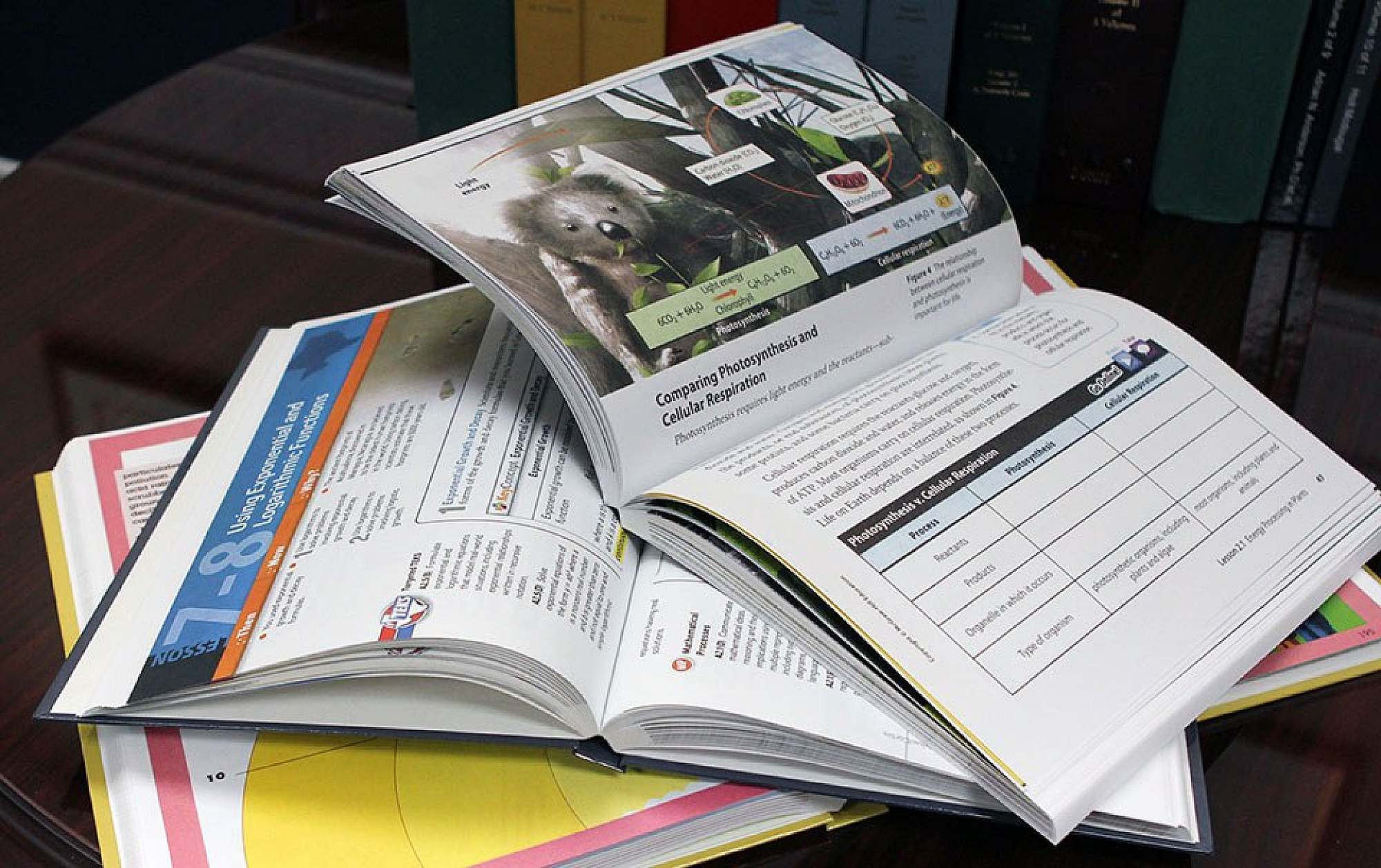 What Is Large Print? | Wolfestone UK